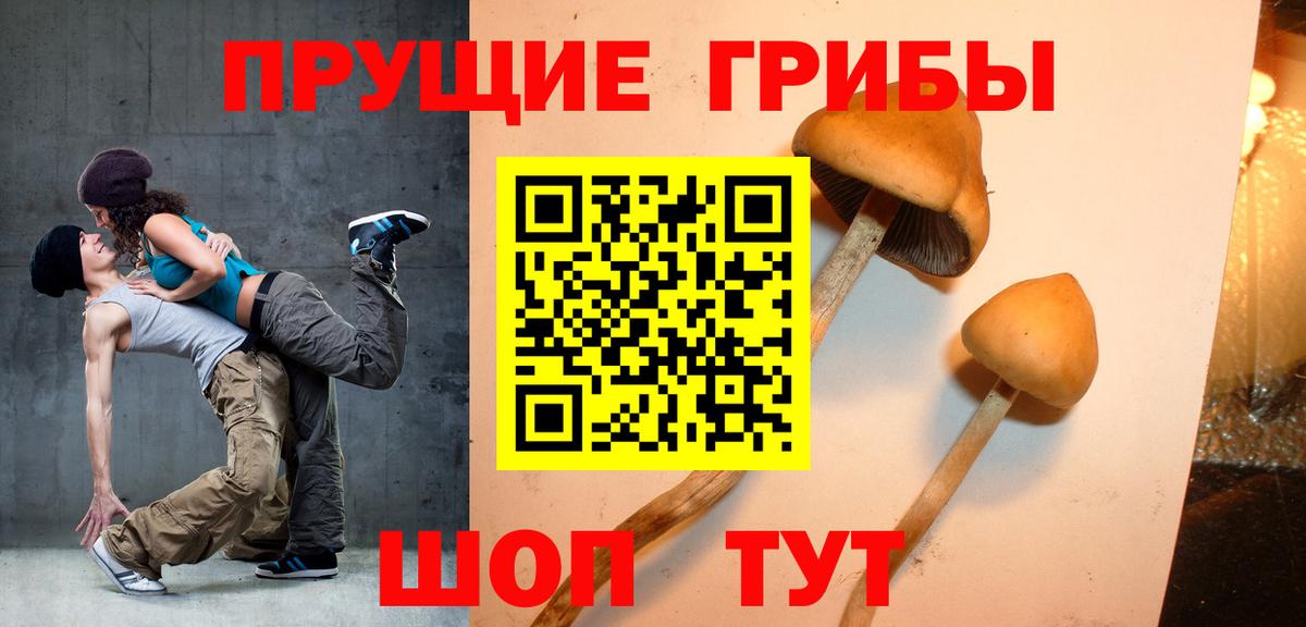 Галлюциногенные грибы Magic Shrooms  Псилоцибиновые грибы Cubensis  Вход с VPN  Архангельск 
